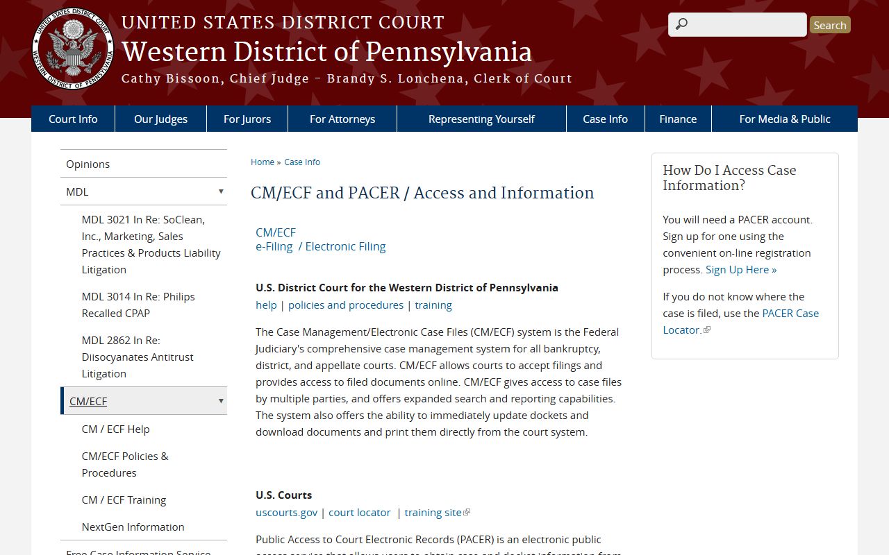 Greene County court records filing systems and access notes